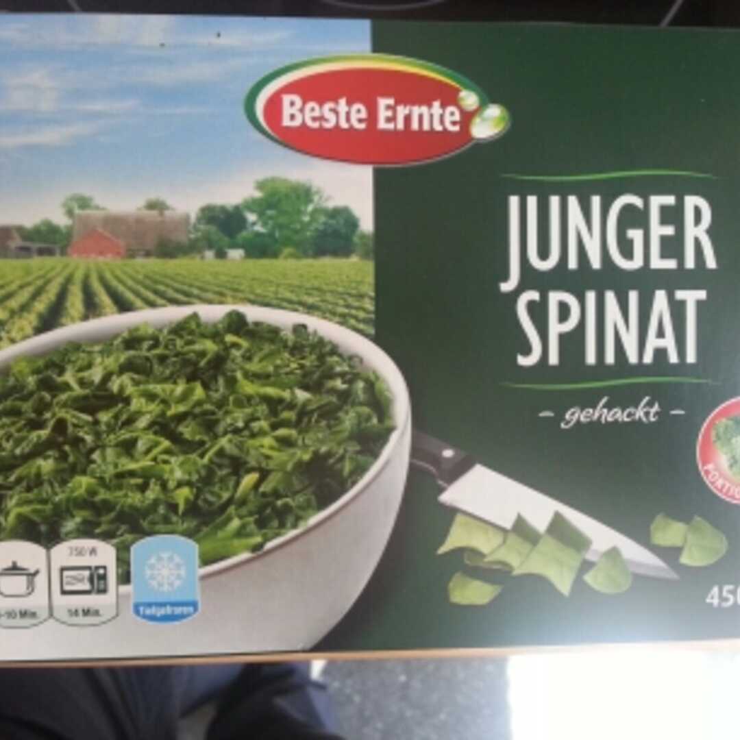 Beste Ernte Junger Spinat Gehackt