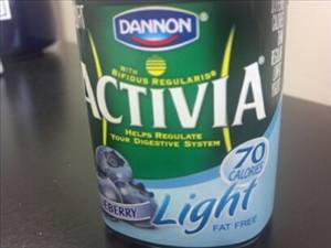 Dannon Activia Light Blueberry Yogurt