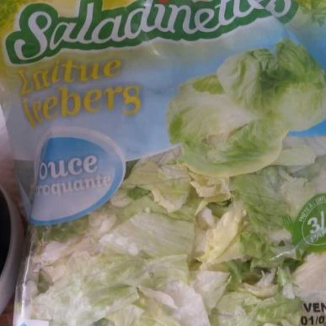 Saladinettes Laitue Iceberg