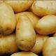 Batatas Brancas (com Casca)