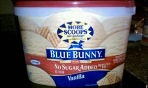 Blue Bunny No Sugar Added Vanilla Ice Cream