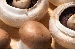 Cooked Mushrooms (from Fresh, Fat Not Added in Cooking)