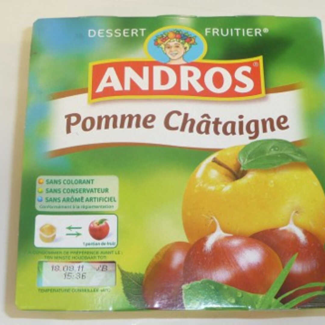 Andros Compote Pomme Châtaigne
