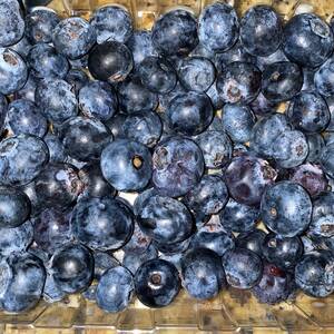 Blueberries