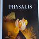 Lindt Excellence Physalis