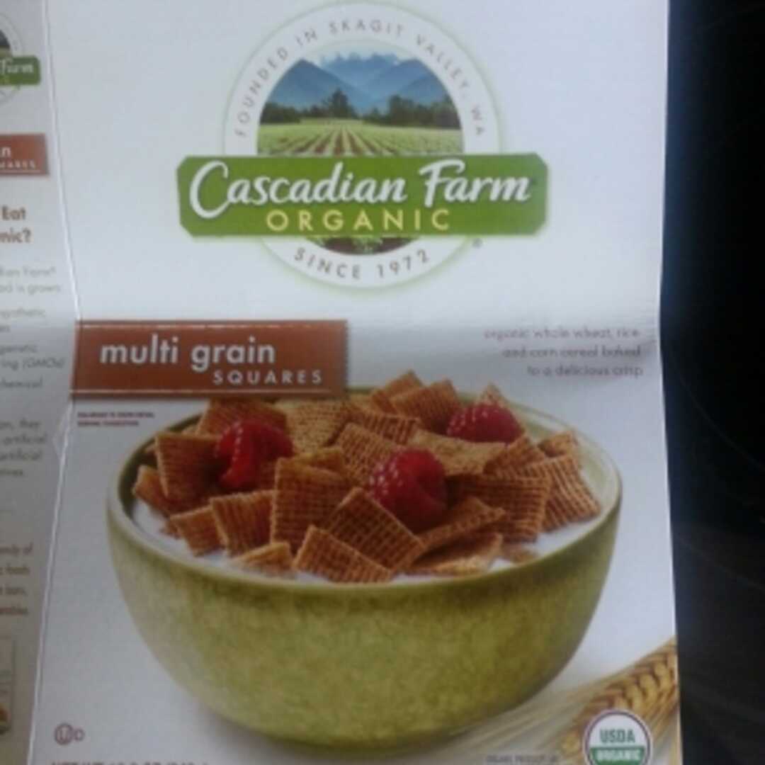 Cascadian Farm Organic Multi Grain Squares Cereal