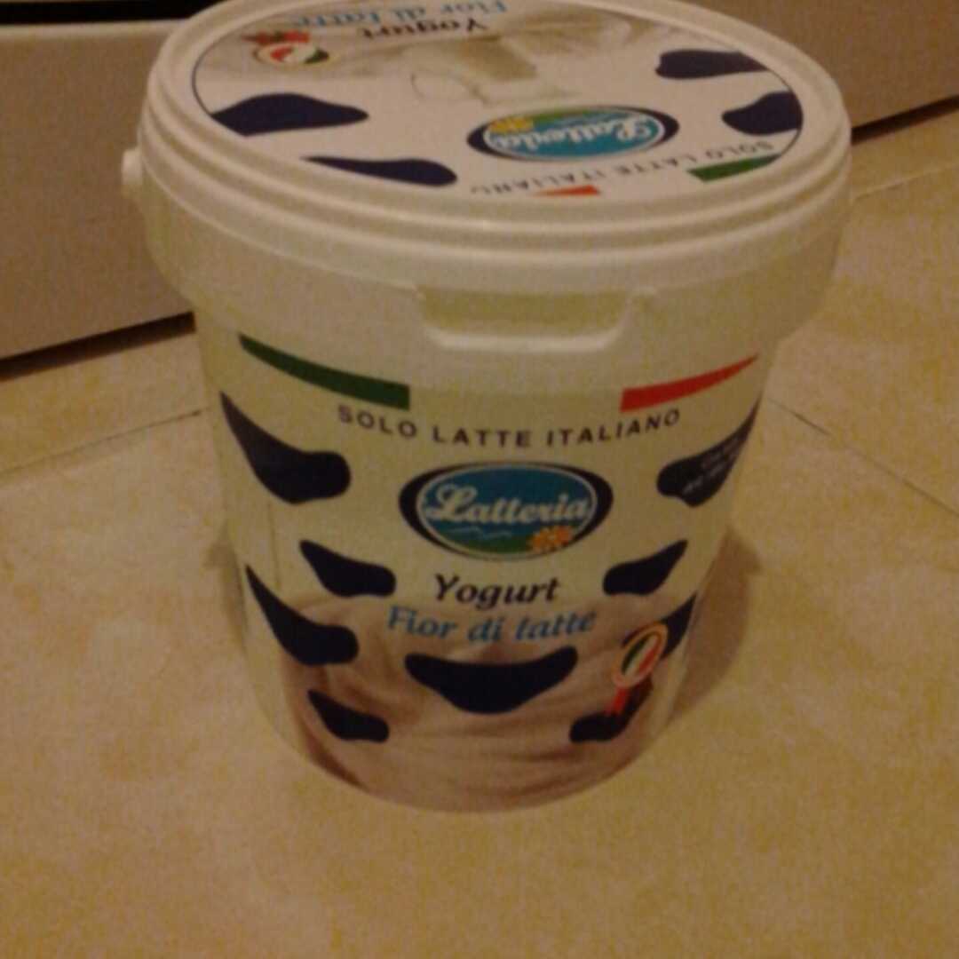 Latteria Yogurt Fior di Latte