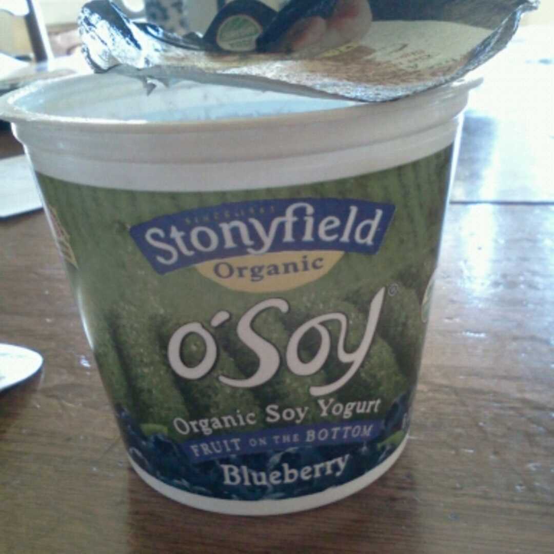Whole Soy & Co Blueberry Soy Yogurt