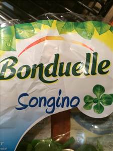 Bonduelle Songino
