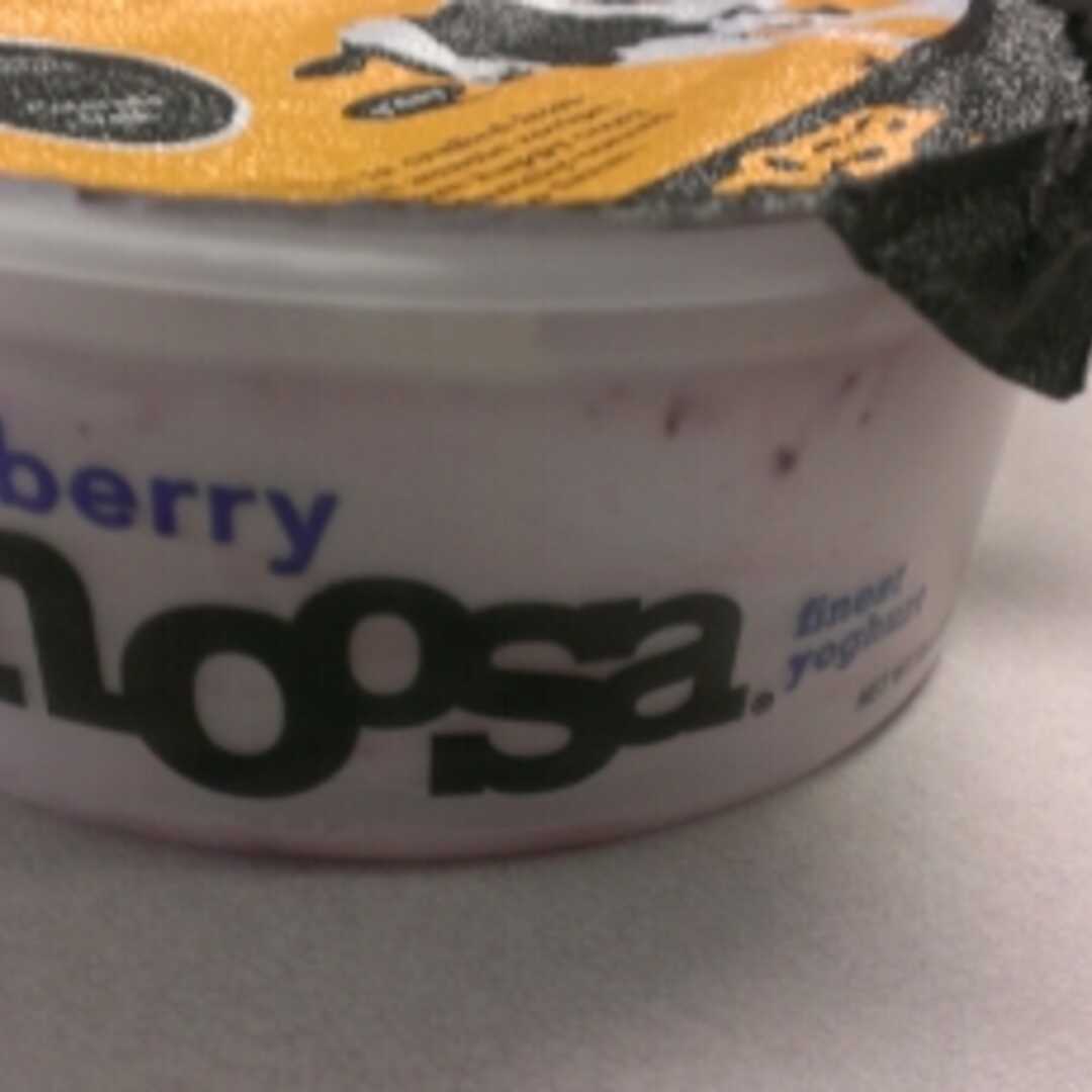 Noosa Blueberry Yoghurt