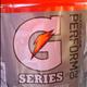 Gatorade G2 Perform 02 - Fruit Punch (Bottle)