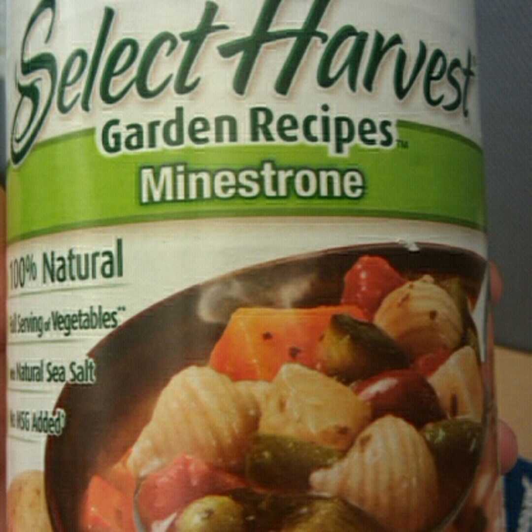 Campbell's Select Harvest Garden Recipes Minestrone Soup