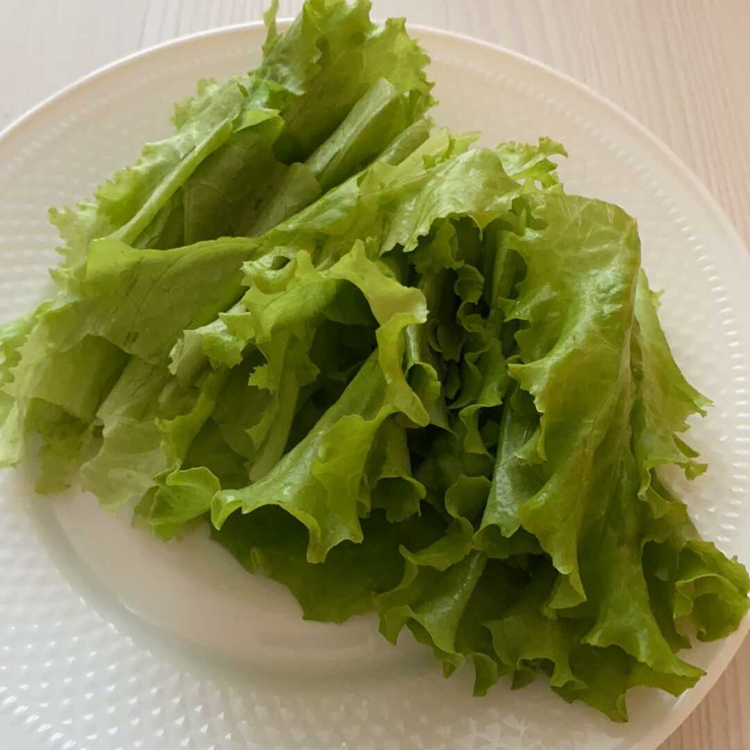 Салат листовой хрустящий Рост в горшочке