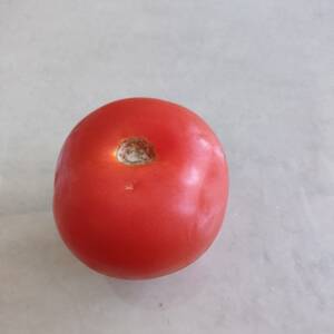 Röda Tomater