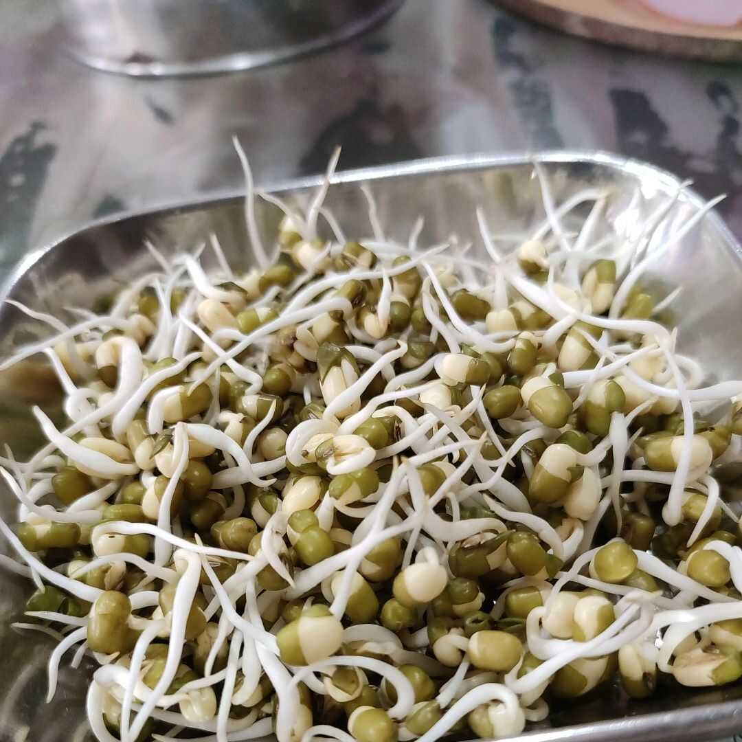 Bean Sprouts (Soybean or Mung)