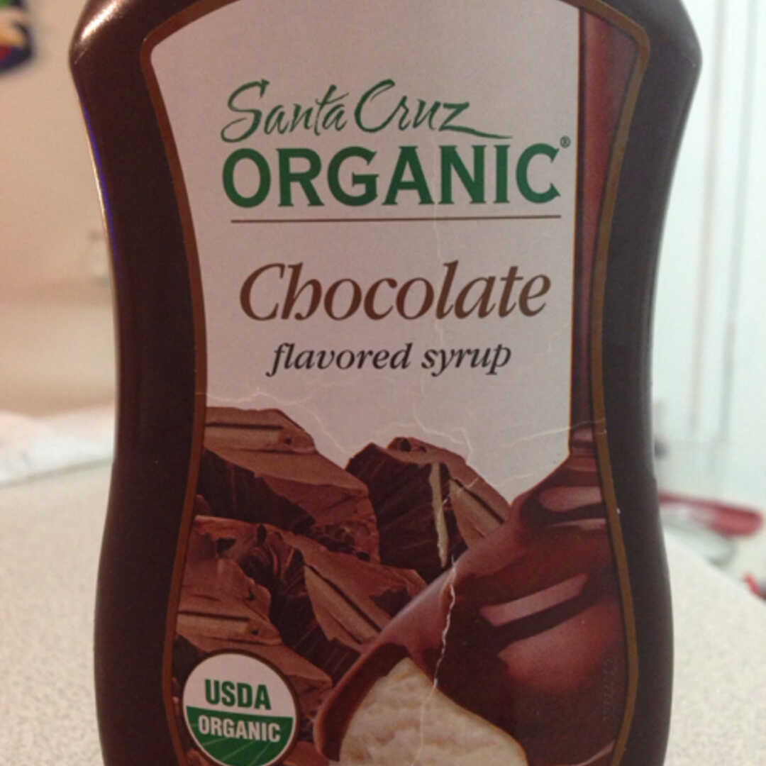 Santa Cruz Organic Chocolate Flavored Syrup