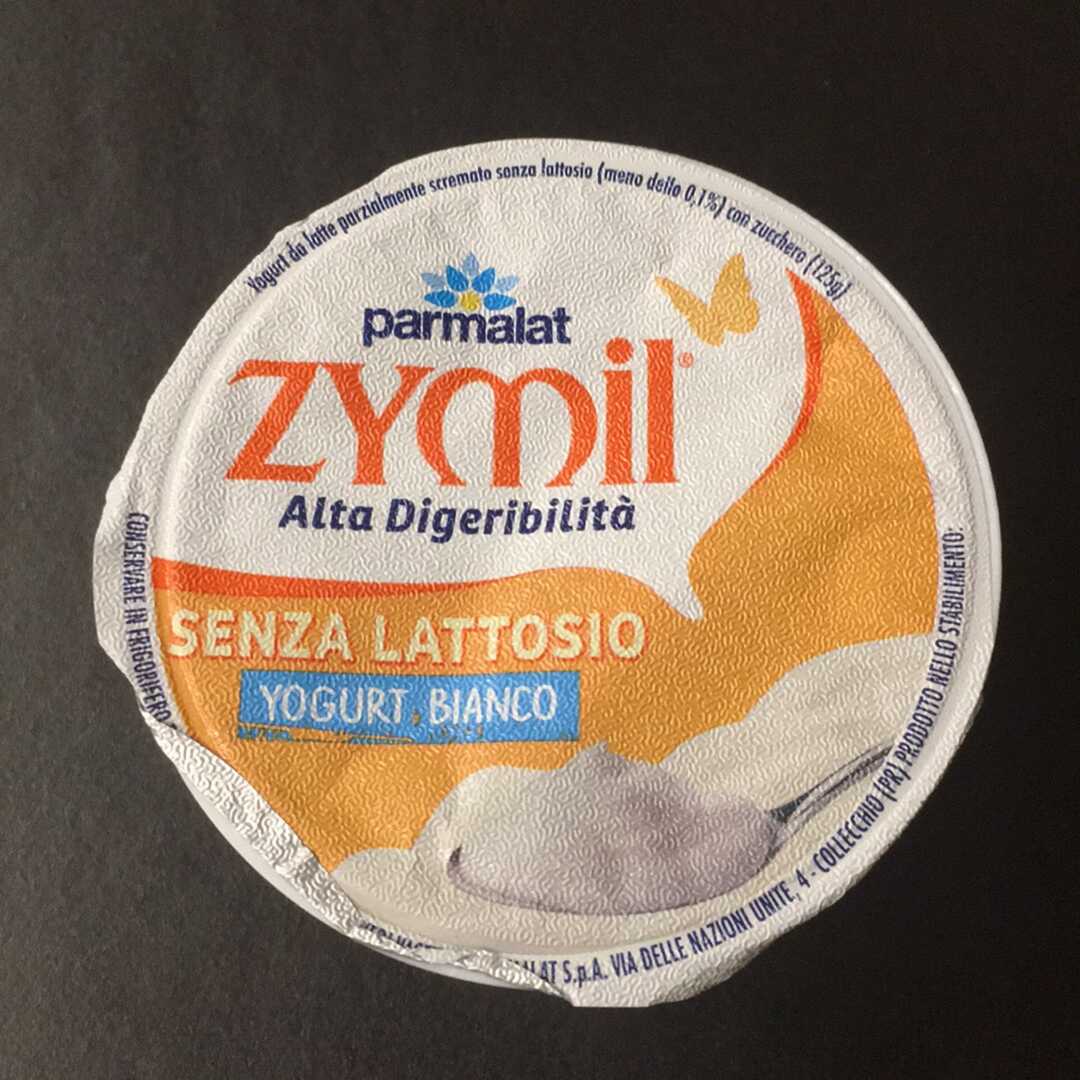 Calorie in Zymil Yogurt Bianco senza Lattosio e Valori Nutrizionali