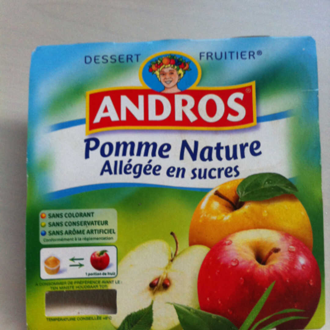 Andros Compote Pomme Allégée