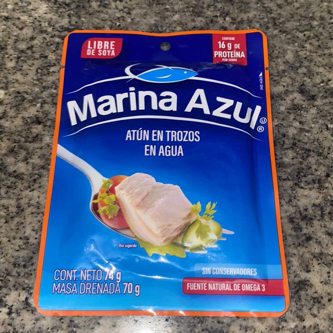 Marina Azul Atún Aleta Amarilla en Agua