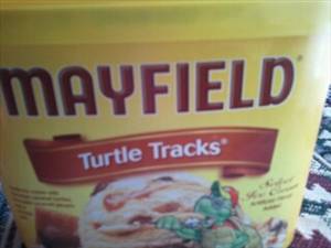 Mayfield Turtle Tracks Ice Cream