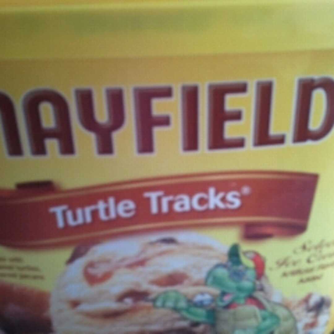 Mayfield Turtle Tracks Ice Cream