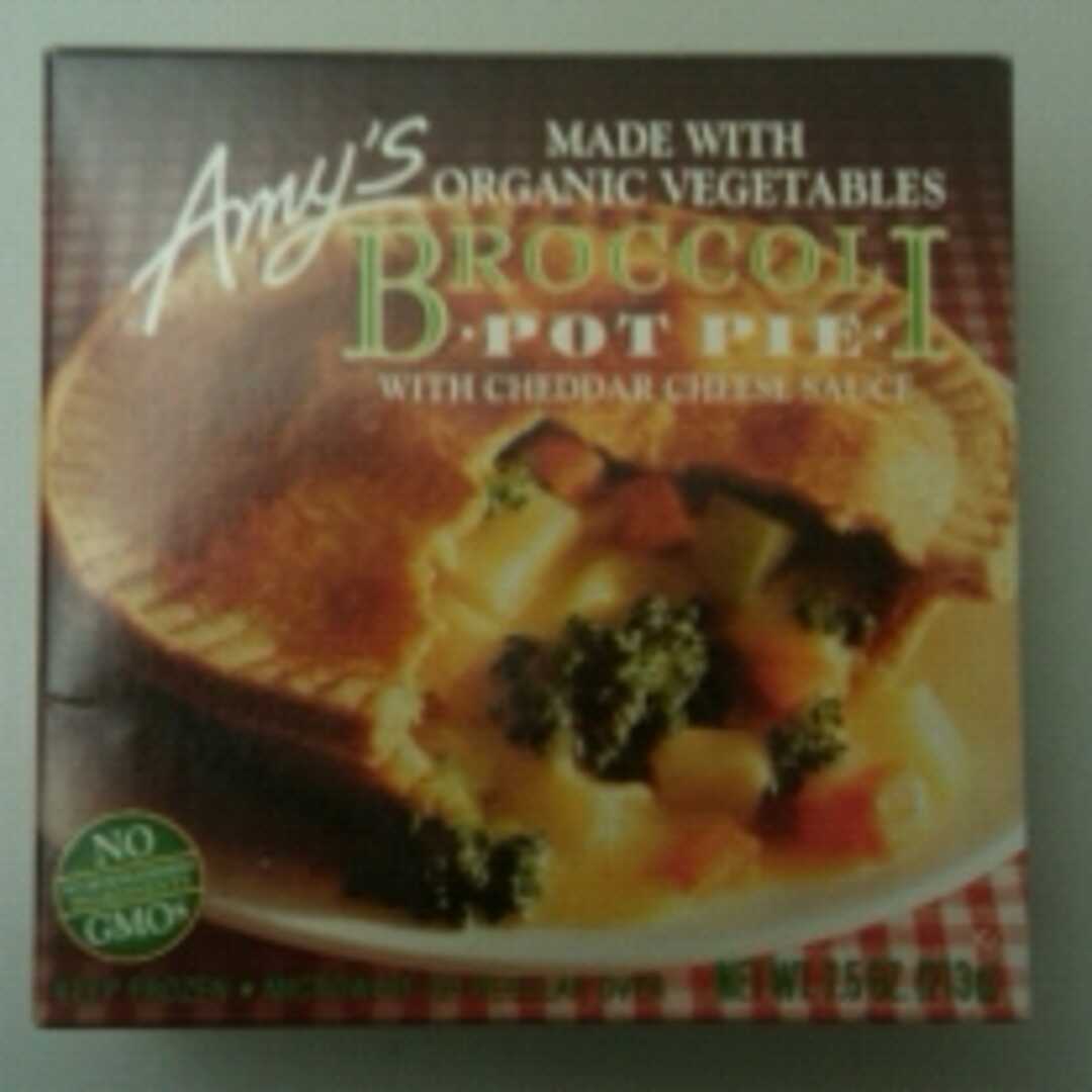 Amy's Broccoli Pot Pie