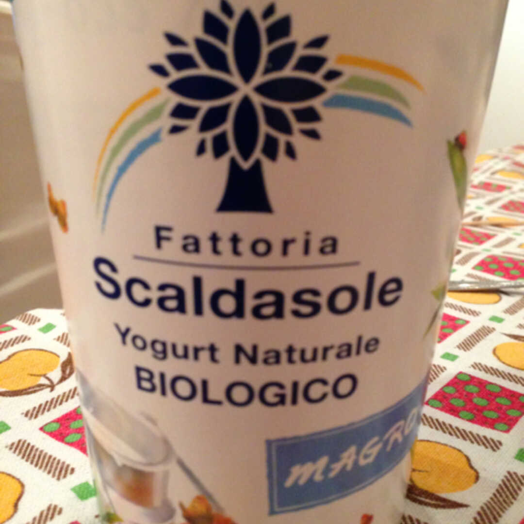 Fattoria Scaldasole Yogurt Naturale Biologico Magro