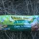 Nature Valley Crunchy Granola Bar - Oats 'N' Honey