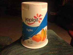 Yoplait Light Fat Free Yogurt - Apricot Mango