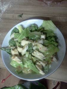 Chicken or Turkey Garden Salad (Chicken and/or Turkey, Other Vegetables Excluding Tomato and Carrots)