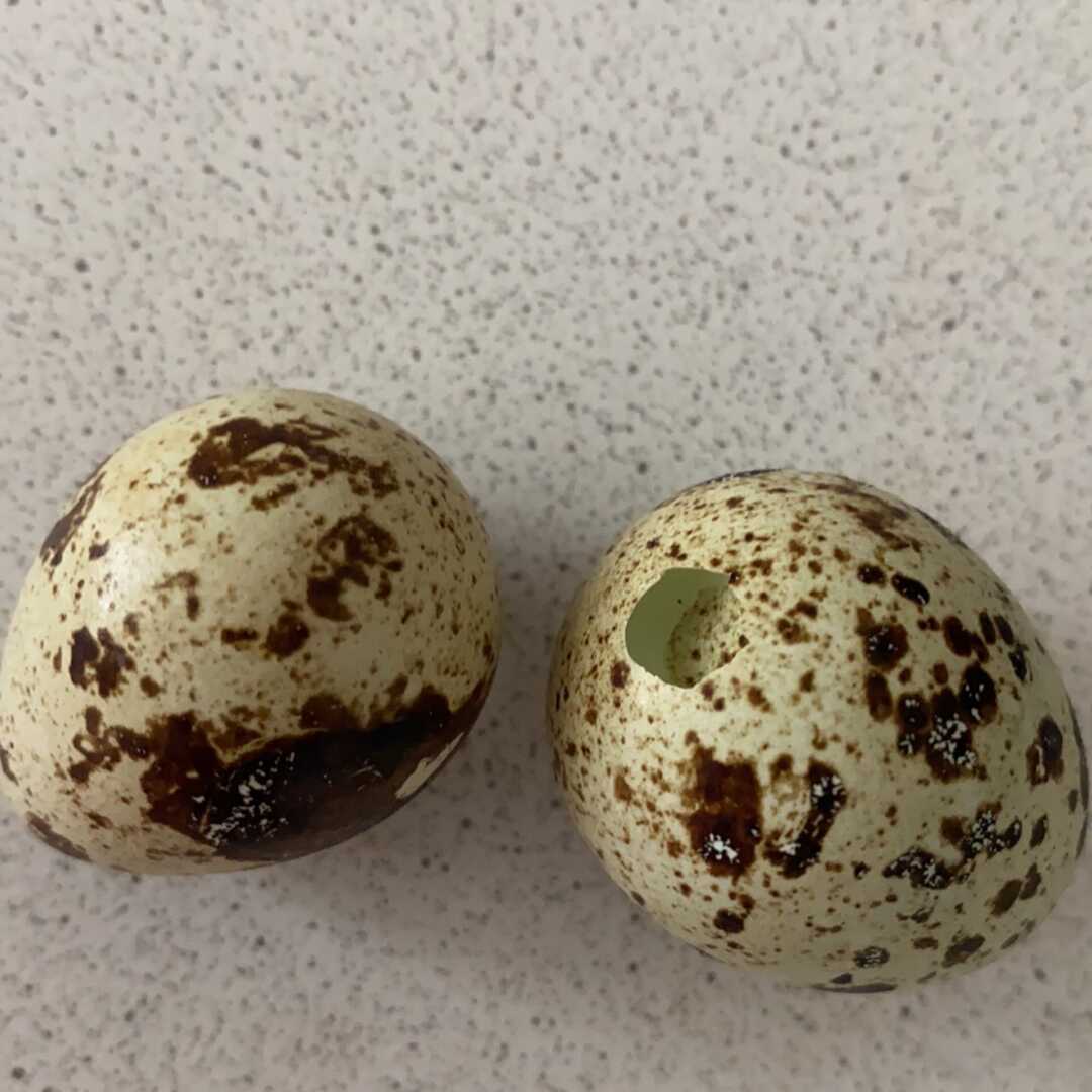 Перепелиное Яйцо