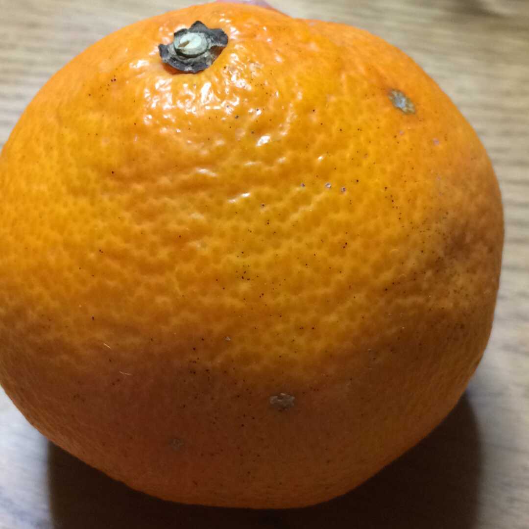 オレンジ（皮付き）