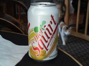 Squirt Diet Squirt (Bottle)