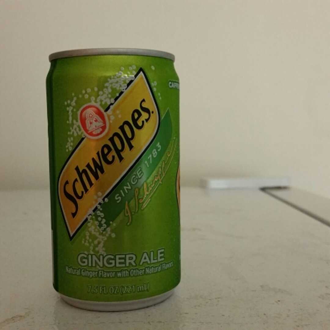Schweppes Ginger Ale (7.5 oz)