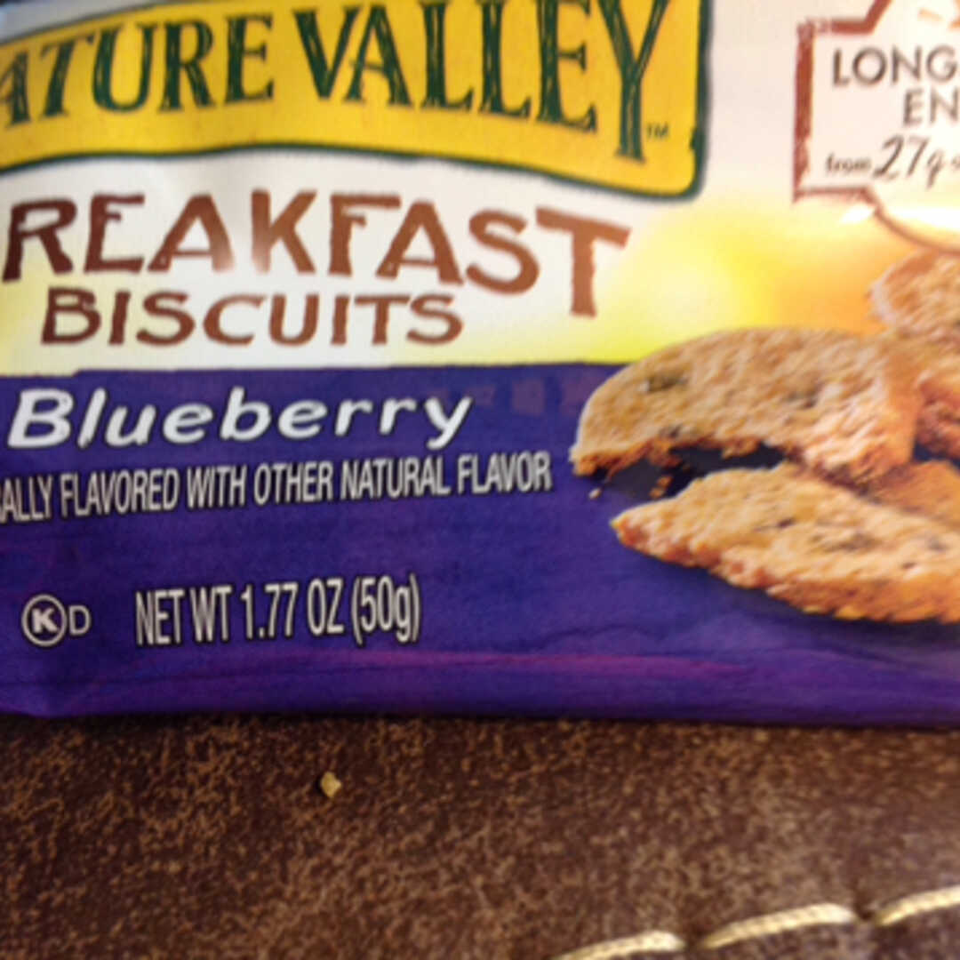 Nature Valley Breakfast Biscuits - Blueberry