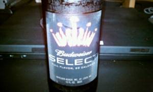 Anheuser-Busch Budweiser Select 99 Calories Beer