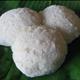 Idli