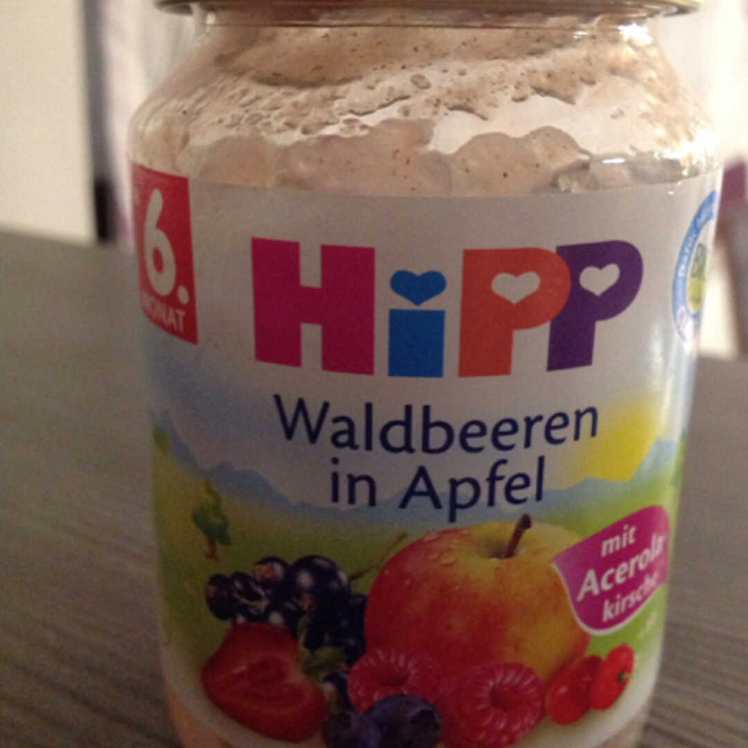 Hipp Waldbeeren in Apfel