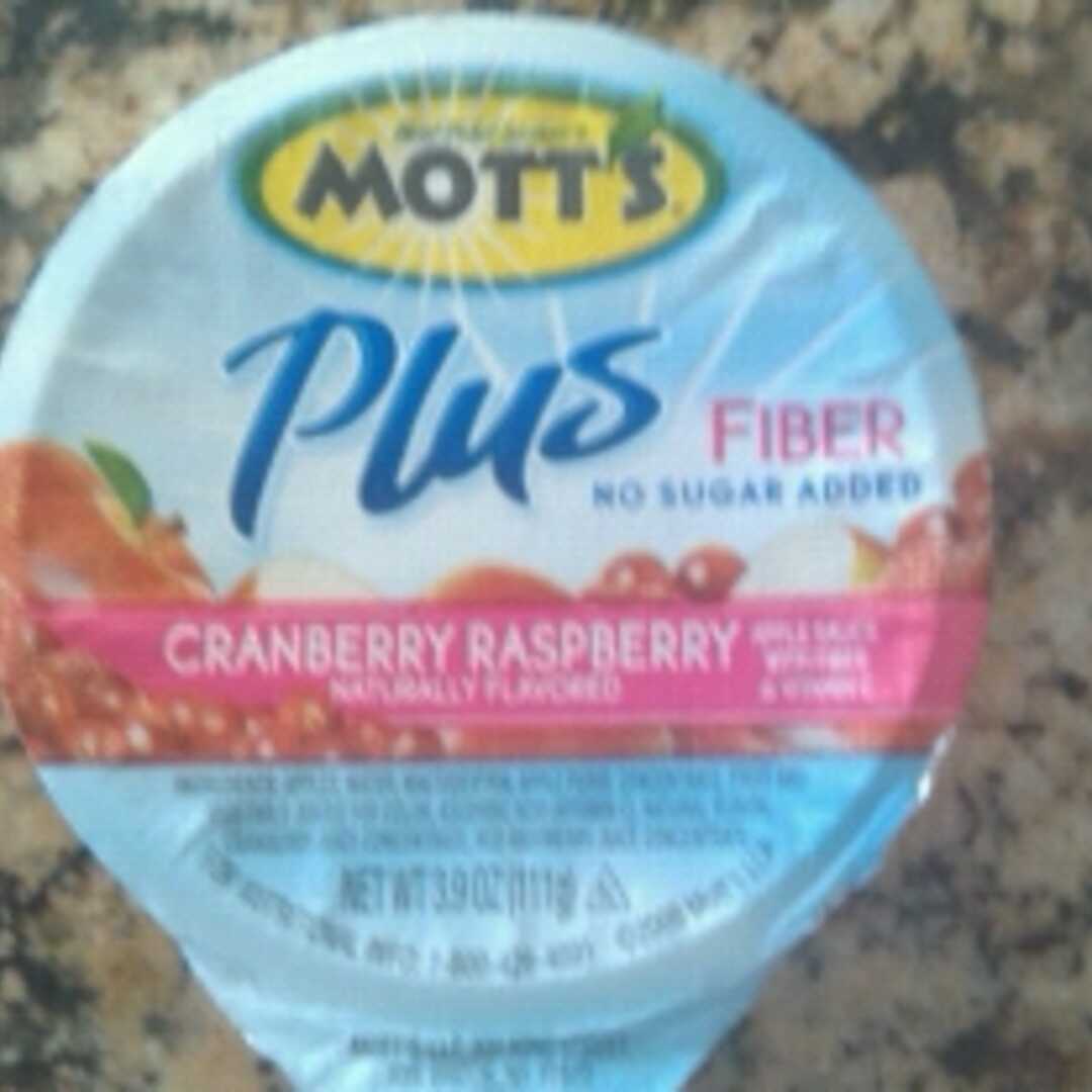 Mott's Cranberry & Raspberry Applesauce