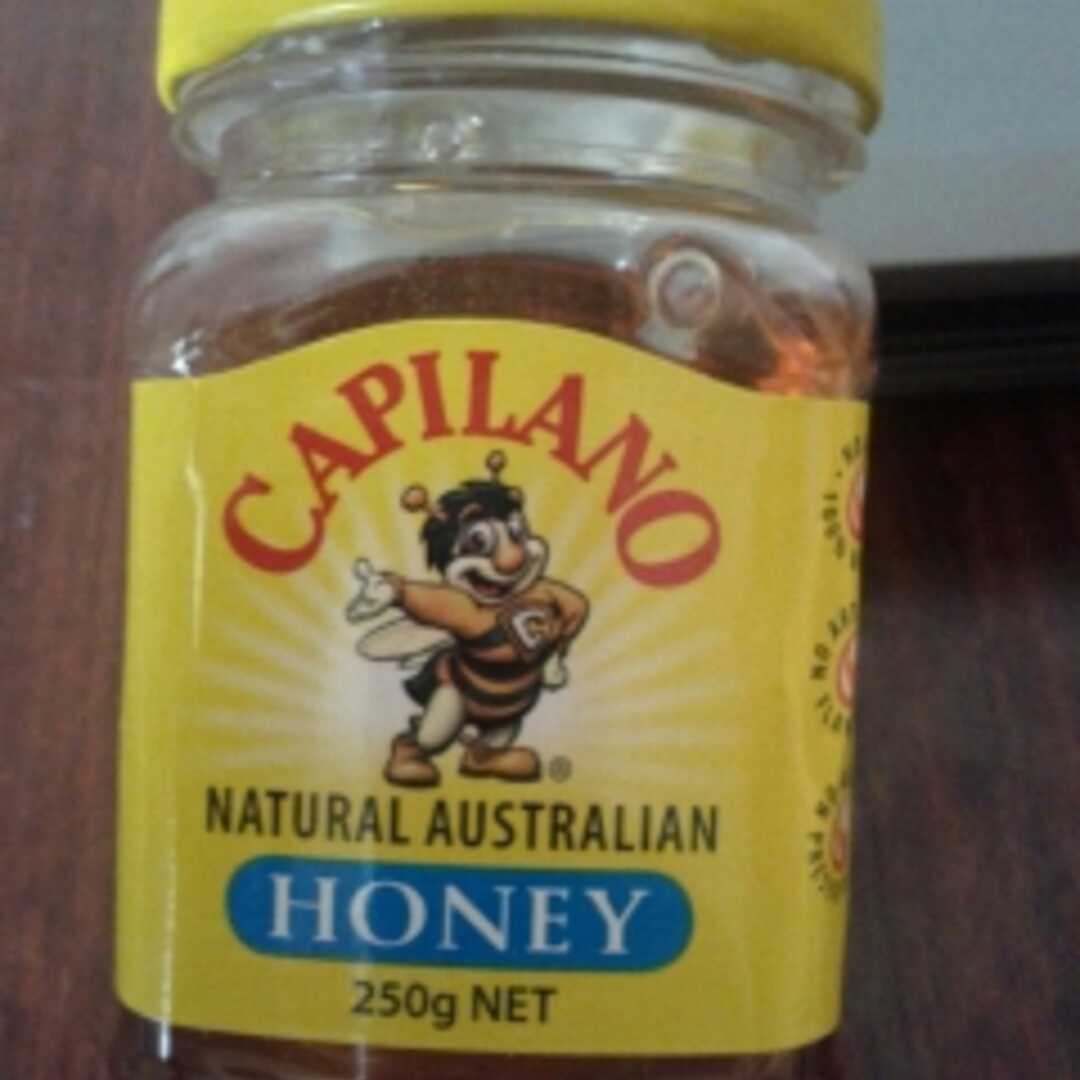 Capilano Australian Yellow Box Honey
