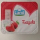 Land Yogurt Fragola