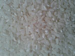 Beyaz Pirinç (Kısa-Öğütülmüş, Pişmiş)