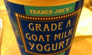 Trader Joe's Plain Goat Milk Yogurt