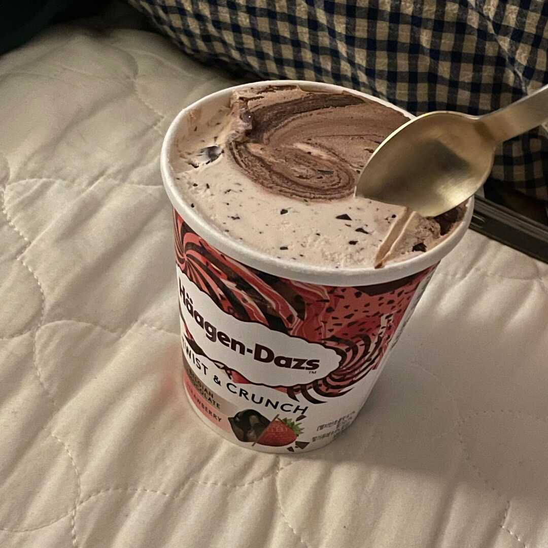 하겐다즈 초코렛 아이스크림