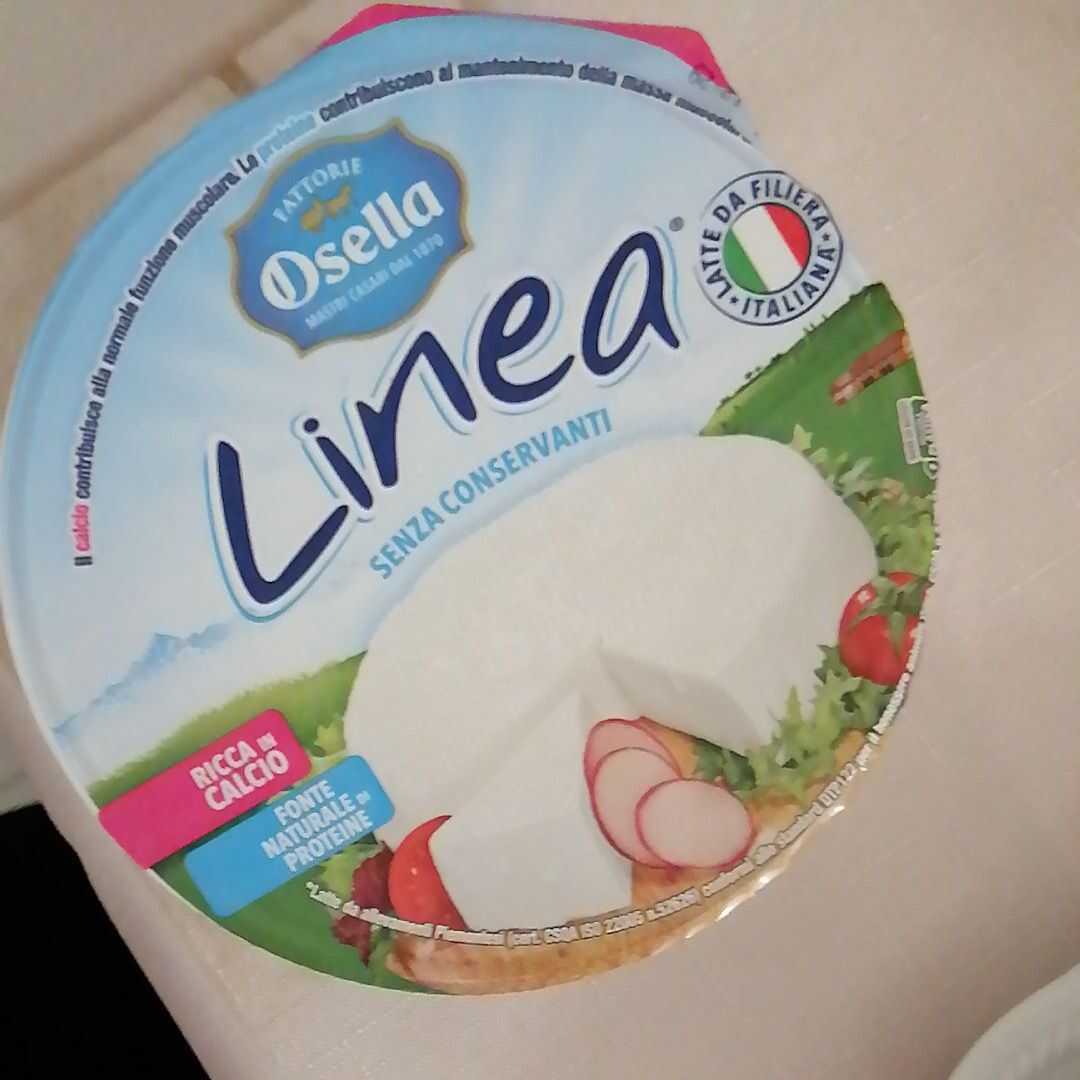 Osella Linea