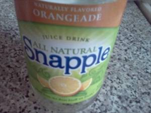 Snapple Orangeade Juice Drink