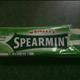Wrigley Freedent Spearmint Chewing Gum