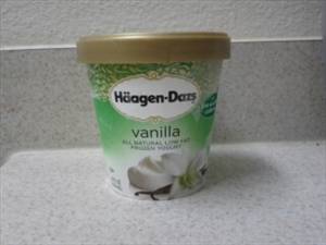 Haagen-Dazs Vanilla Low Fat Frozen Yogurt