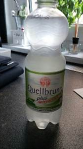 Quellbrunn Plus Apfel