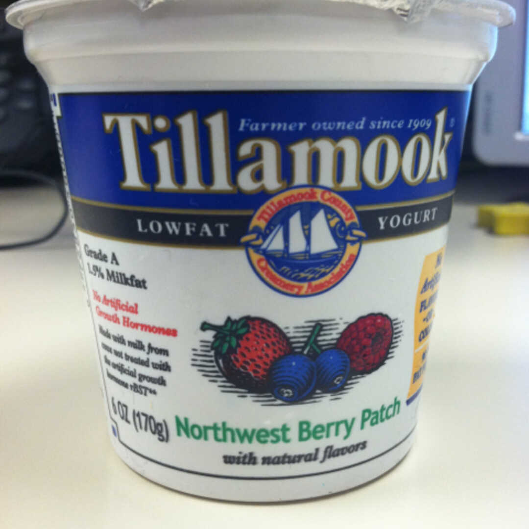 Tillamook Lowfat Northwest Berry Patch Yogurt